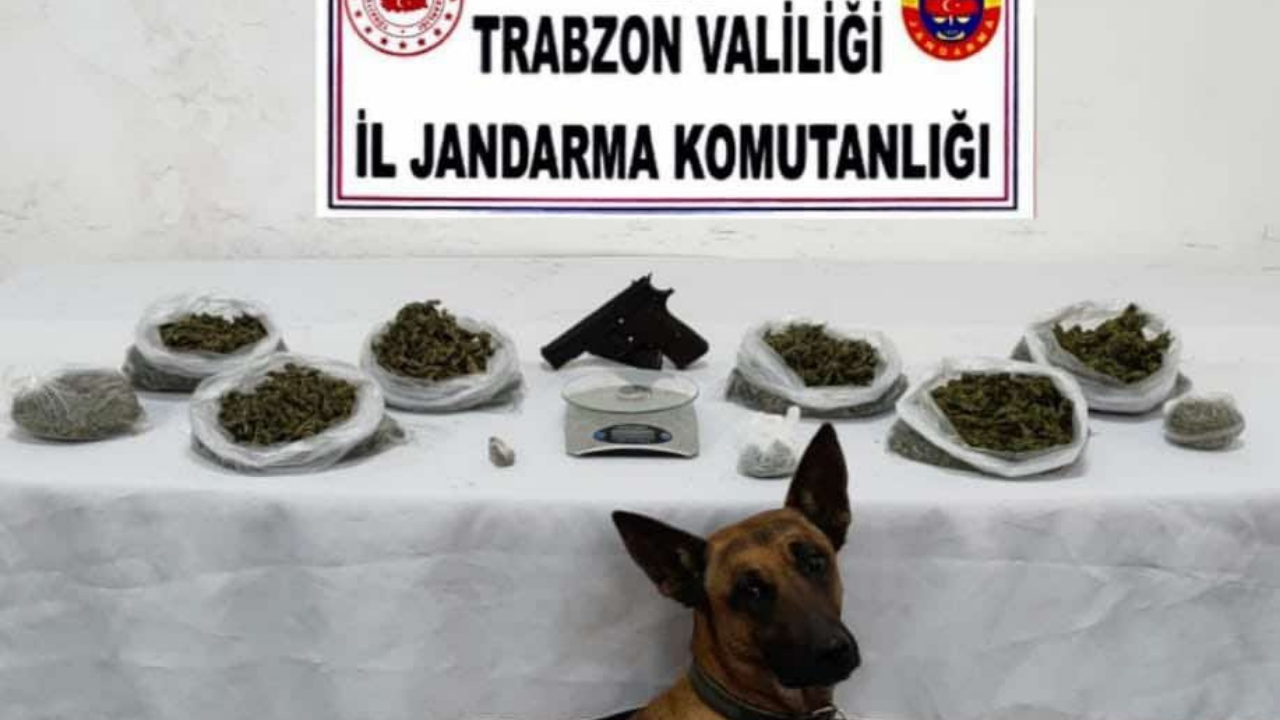 Ekipler göz açtırmıyor: Uyuşturucu operasyonlarında 387 kişi gözaltına alındı